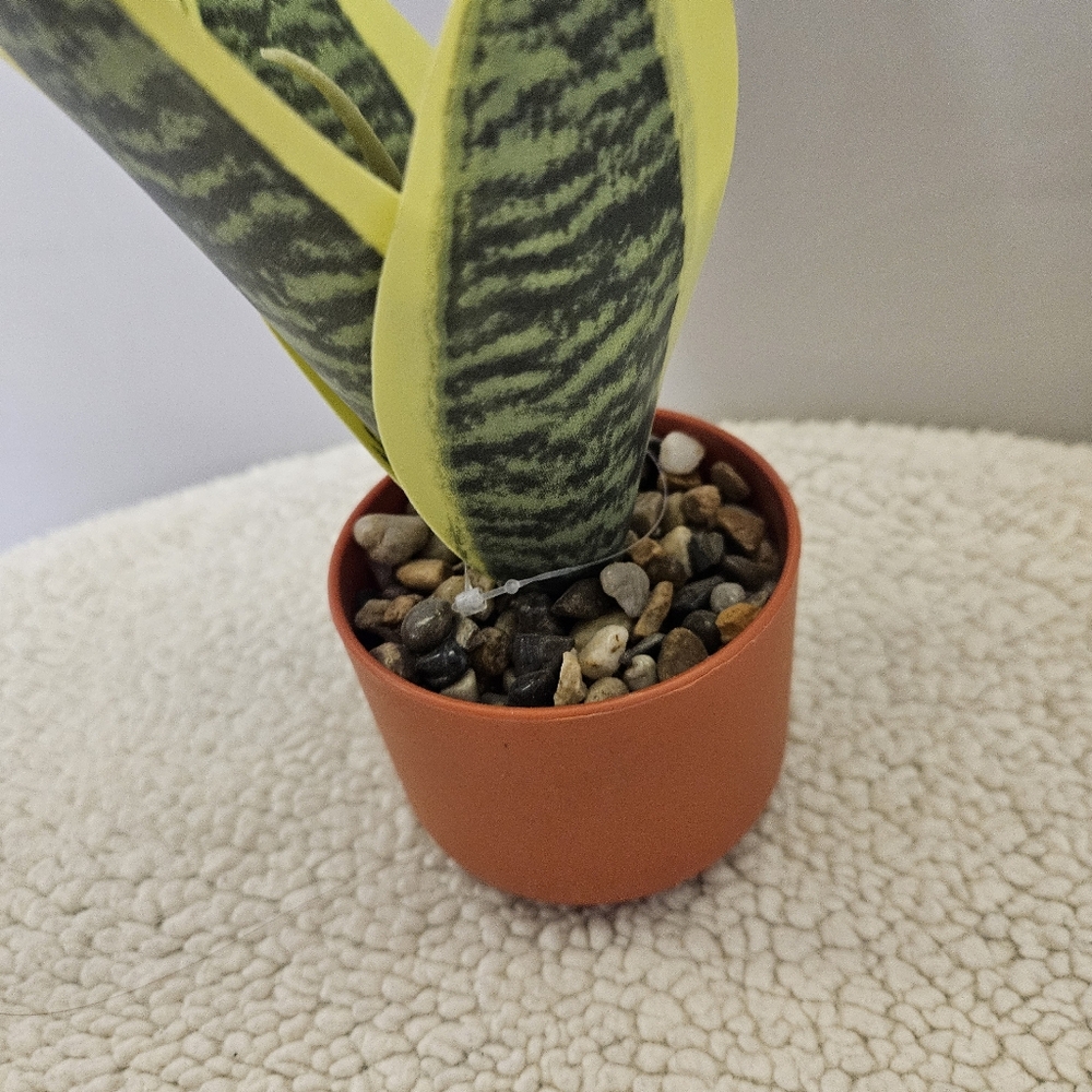 Green and Yellow Reptile Plant Decor - Picture 4 of 8